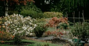 prepare a garden for winter