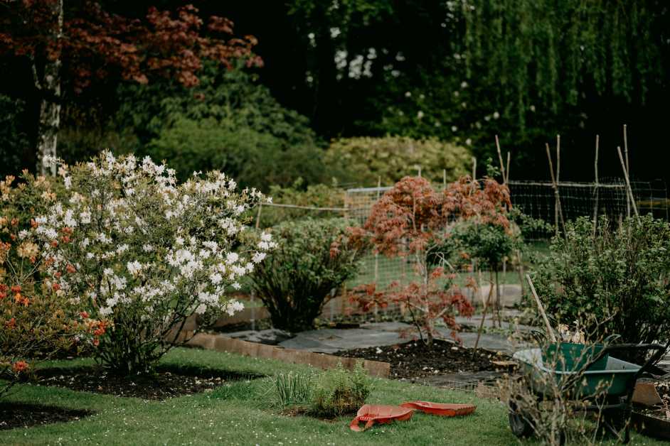 prepare a garden for winter