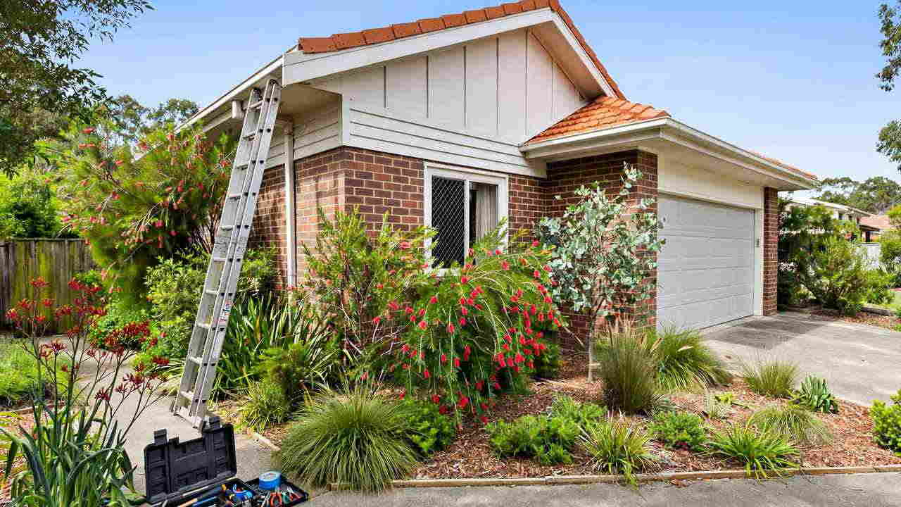 Brick Australian house with a ladder leaning against the gutter above a front garden with red flowering bushes