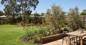 Newly landscaped Australian backyard with fresh turf lawn, native garden beds, sandstone patio and timber retaining wall