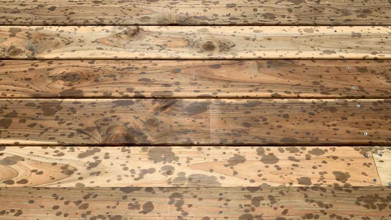 Spotted gum hardwood deck boards close-up on a new Australian deck